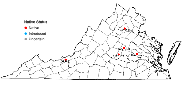 Locations ofSchistidium dupretii (Thér.) W.A. Weber in Virginia