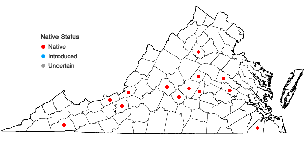 Locations ofSchistidium rivulare (Brid.) Podp. in Virginia