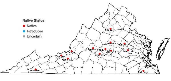 Locations ofSchistidium rivulare (Brid.) Podp. in Virginia