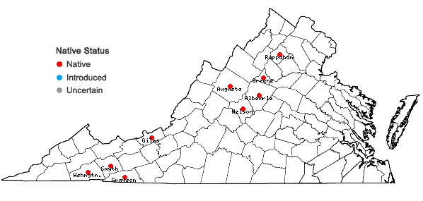 Locations ofSchistidium sp. A. in Virginia