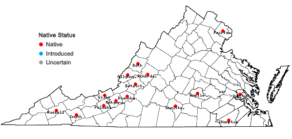 Locations ofSchistidium viride H. H. Blom & C. Darigo in Virginia