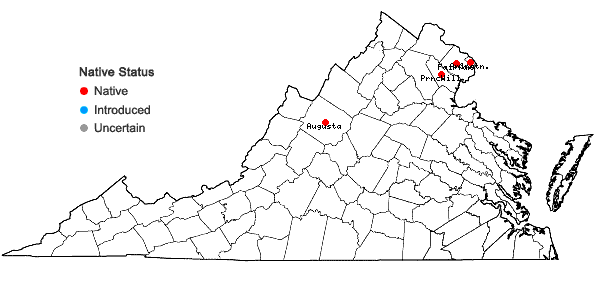 Locations ofSchoenoplectus acutus (Muhl. ex Bigel.) Love & Love var. acutus in Virginia