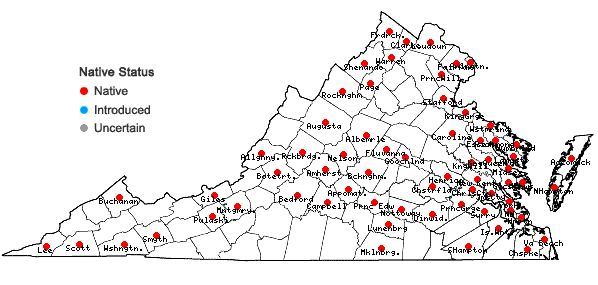 Locations ofSchoenoplectus pungens (Vahl) Palla var. pungens in Virginia