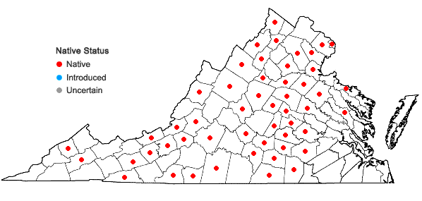 Locations ofSchoenoplectus purshianus (Fernald) Strong var. purshianus in Virginia