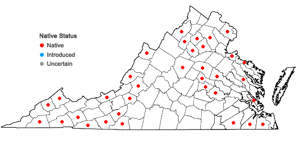 Locations ofSchwetschkeopsis fabronia (Schwägr.) Broth. in Virginia