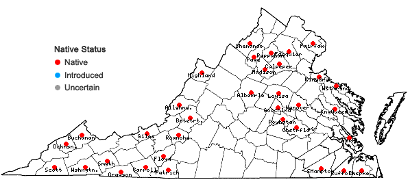 Locations ofSchwetschkeopsis fabronia (Schwägr.) Broth. in Virginia