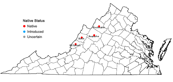 Locations ofScirpus ancistrochaetus Schuyler in Virginia