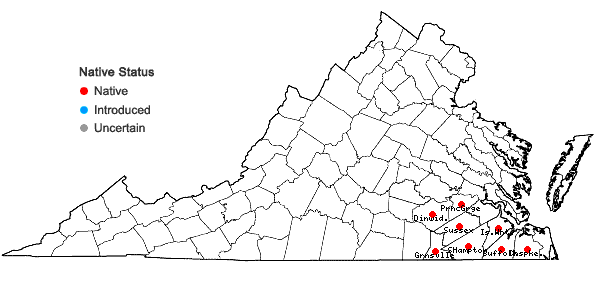 Locations ofScirpus divaricatus Elliott in Virginia