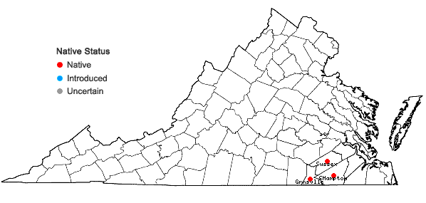 Locations ofScirpus flaccidifolius (Fernald) Schuyler in Virginia