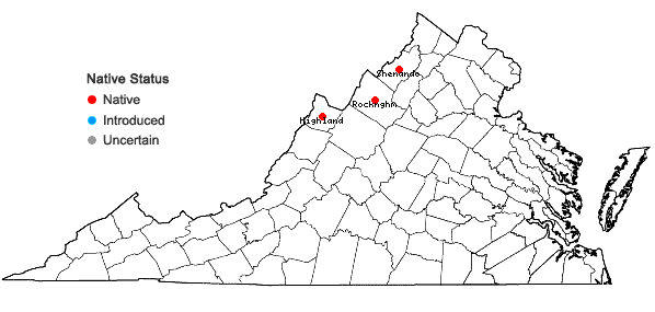 Locations ofScirpus hattorianus Makino in Virginia