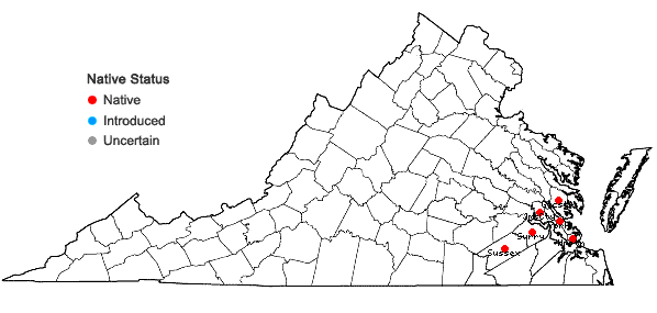 Locations ofScirpus lineatus Michaux in Virginia