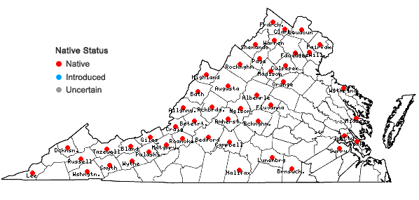 Locations ofScirpus pendulus Muhlenberg in Virginia