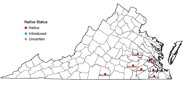 Locations ofScleria ciliata Michaux var. elliottii (Chapman) Fernald in Virginia
