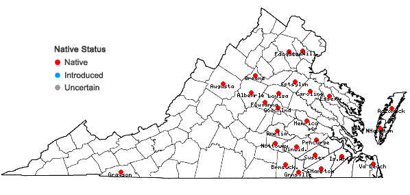 Locations ofScleria muehlenbergii Steudel in Virginia