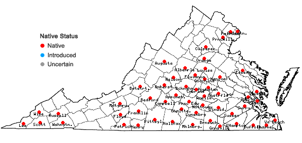 Locations ofScleria oligantha Michaux in Virginia