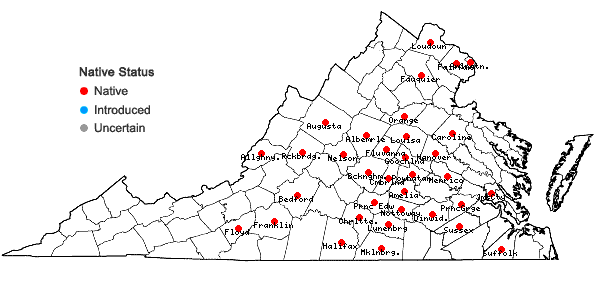 Locations ofScleria pauciflora Muhl. ex Willd. var. pauciflora in Virginia