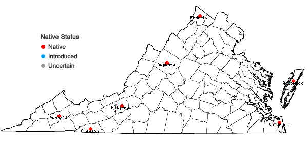 Locations ofScleria verticillata Muhl. ex Willd. in Virginia