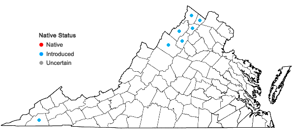 Locations ofSclerochloa dura (L.) Beauv. in Virginia