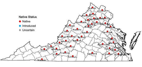 Locations ofScrophularia lanceolata Pursh in Virginia