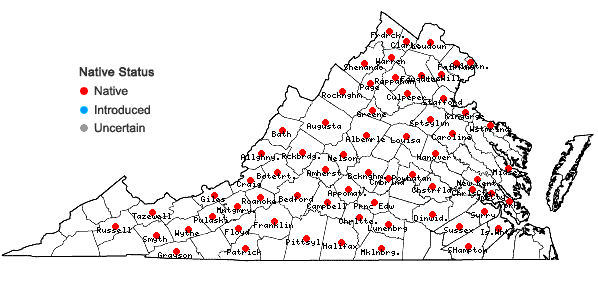 Locations ofScrophularia marilandica L. in Virginia