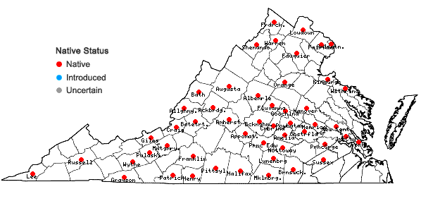 Locations ofScutellaria elliptica Muhl. ex Spreng. var. elliptica in Virginia