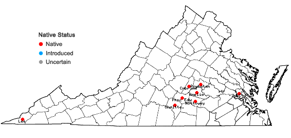 Locations ofScutellaria incana Biehler in Virginia