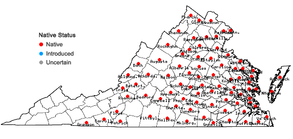 Locations ofScutellaria integrifolia L. in Virginia