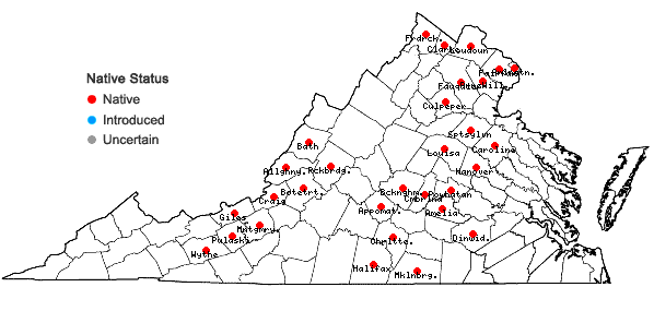 Locations ofScutellaria nervosa Pursh in Virginia