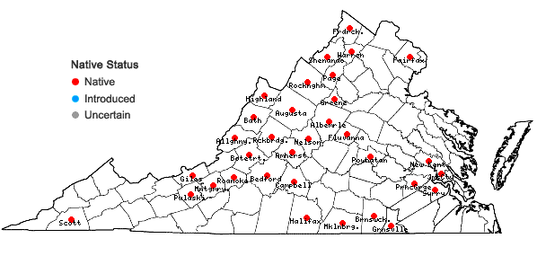 Locations ofScutellaria ovata Hill in Virginia