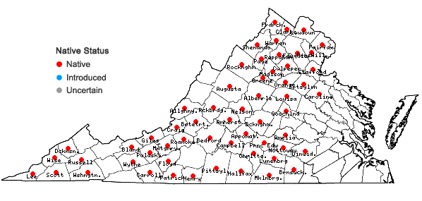 Locations ofScutellaria serrata Andr. in Virginia