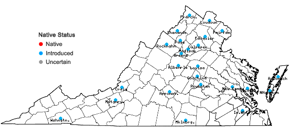 Locations ofSecale cereale L. in Virginia