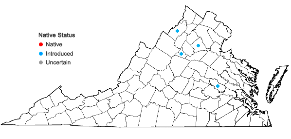 Locations ofSedum acre L. in Virginia