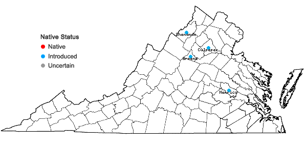 Locations ofSedum acre L. in Virginia