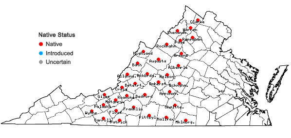 Locations ofSedum glaucophyllum  Clausen in Virginia