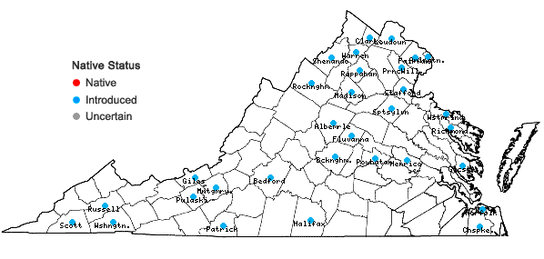 Locations ofSedum sarmentosum Bunge in Virginia