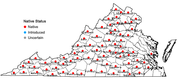 Locations ofSedum ternatum Michx. in Virginia