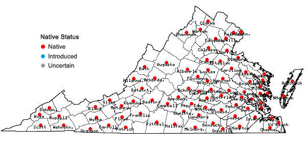 Locations ofSelaginella apoda (L.) Spring in Virginia