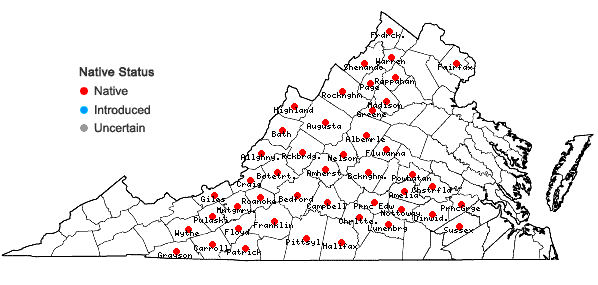 Locations ofSelaginella rupestris (L.) Spring in Virginia