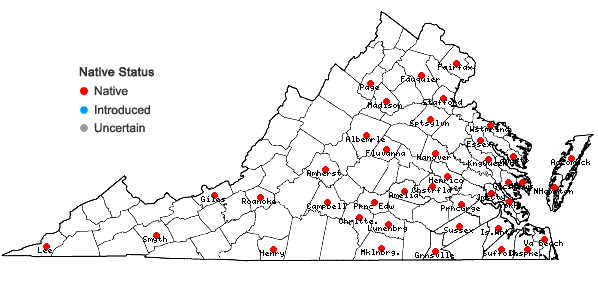 Locations ofSematophyllum adnatum (Michx.) E. Britton in Virginia