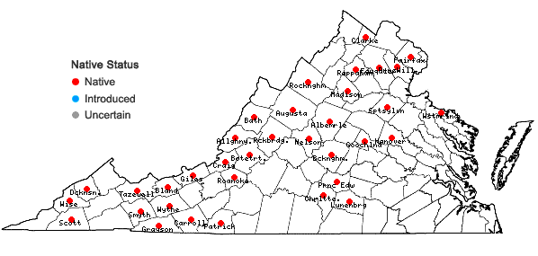 Locations ofSematophyllum demissum (Wilson) Mitt. in Virginia