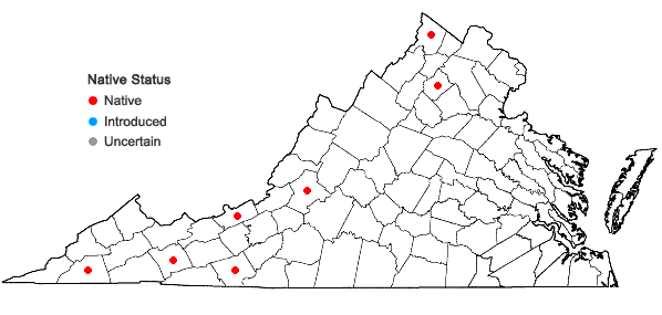 Locations ofSematophyllum marylandicum (Müll. Hal.) E. Britton in Virginia