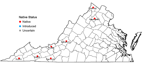 Locations ofSematophyllum marylandicum (Müll. Hal.) E. Britton in Virginia