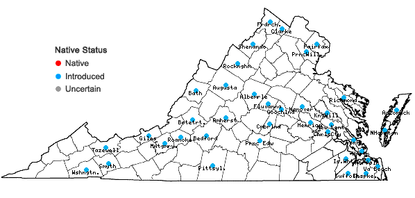 Locations ofSenecio vulgaris L. in Virginia