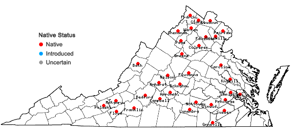 Locations ofSenega ambigua (Nutt.) J.F.B. Pastore & J.R. Abbott in Virginia