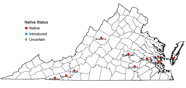 Locations ofSenega aquilonia (Fern. & Schub.) J.F.B. Pastore & J.R. Abbott in Virginia