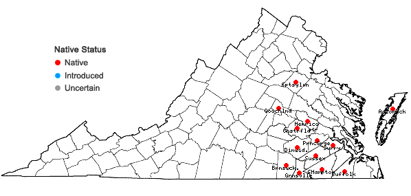 Locations ofSenega cruciata (L.) J.F.B. Pastore & J.R. Abbott in Virginia