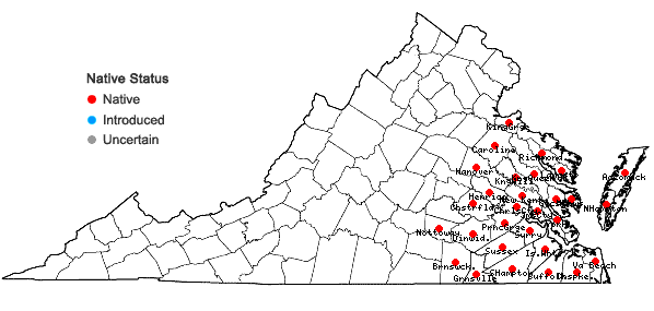 Locations ofSenega lutea (L.) J.F.B. Pastore & J.R. Abbott in Virginia