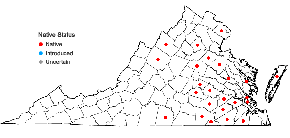 Locations ofSenega nuttallii (Torr. & A. Gray) J.F.B. Pastore & J.R. Abbott in Virginia