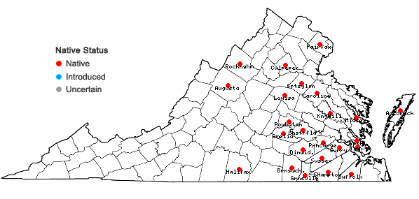 Locations ofSenega nuttallii (Torr. & A. Gray) J.F.B. Pastore & J.R. Abbott in Virginia
