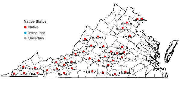 Locations ofSenega officinalis Spach in Virginia